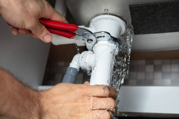 Best Water damage mitigation services  in Madison, WV