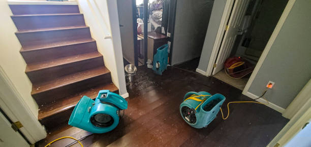 Best Water damage restoration near me  in Madison, WV