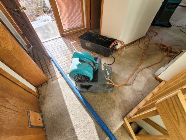 Best Ceiling water damage repair  in Madison, WV