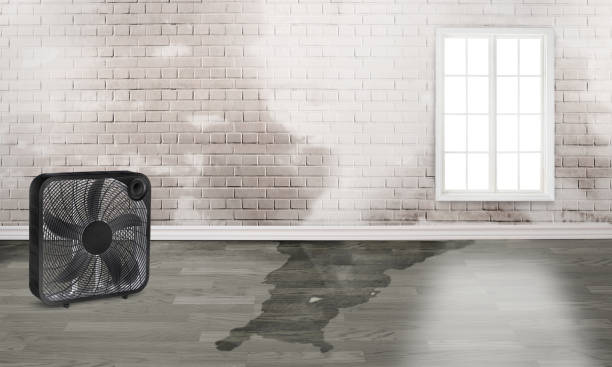 Best Residential water damage restoration  in Madison, WV