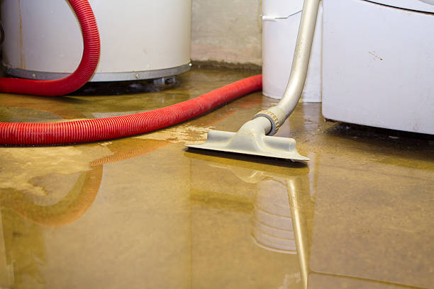 Water damage restoration experts in WV