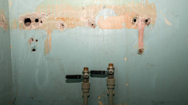 Best Professional water damage repair  in Madison, WV