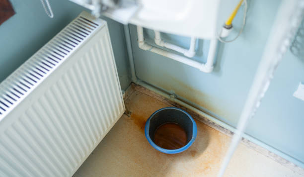 Best 24/7 water damage repair  in Madison, WV