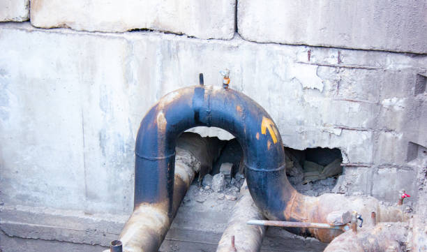 Best Basement water damage restoration  in Madison, WV