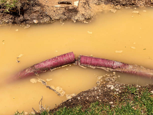 Best Local water damage restoration  in Madison, WV